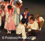 Folklorní festival Polabská Vonička