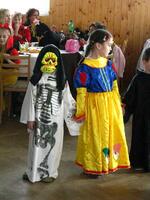Maškarní bál 2009
